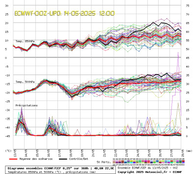 ECMWF Ensembles Forecast